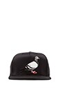 view 1 of 3 GORRA BÉISBOL M&N PIGEON in Black