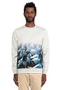 view 1 of 4 Pixel Pigeon Crewneck in Heather Grey