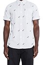 view 4 of 4 All Over Pigeon Button Down in White