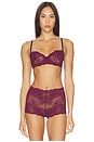 view 1 of 4 BRASSIÈRE in Figgy & Nocturnal