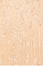 view 5 of 5 Aurora Gown in Peach
