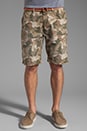 view 5 of 8 Belted Chino Short in Camo