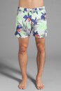 view 1 of 7 Floral Print Swim Short en Green/White/Blue in Green & White & Blue