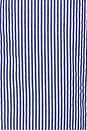 view 3 of 4 Striped Short in Ecru Navy Stripe