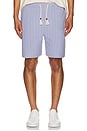 view 4 of 5 Tonal Striped Shorts in Languid Lavender