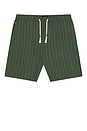 view 1 of 5 Tonal Striped Shorts in Thyme