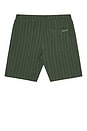 view 2 of 5 Tonal Striped Shorts in Thyme