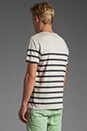 view 3 of 5 Stripe V Top in White in White & Navy