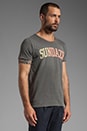 view 2 of 4 Sundaze Tee in Grey