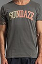 view 4 of 4 Sundaze Tee in Grey