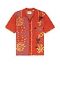 view 4 of 4 T-SHIRT MANCHES COURTES KNITTED JACQUARD in Desert Hawaiian Bossa Nova