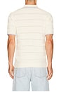 view 2 of 4 Structured Knitted Regular Fit Polo in Eggnog