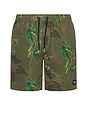 view 1 of 5 Mid Length Swimshort in Leafs Print