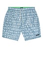 view 1 of 4 Printed Swim Shorts in Faded Blue