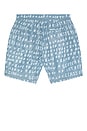 view 2 of 4 Printed Swim Shorts in Faded Blue
