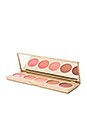 view 1 of 2 Lip & Cheek Convertible Color 5 Pan Palette in Sunset Serenade