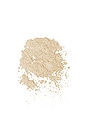 view 3 of 4 SPRAY POUDRE IN THE BUFF POWDER SPRAY in Light /Medium