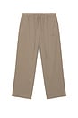 view 1 of 5 Nylon Wide Leg Pant in Sepia