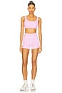 view 5 of 6 The Sparrow Short in Pink Stripes