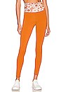 view 1 of 4 LEGGINGS TWIGGY in Ginger Retro Blossom