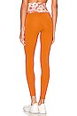 view 3 of 4 LEGGINGS TWIGGY in Ginger Retro Blossom
