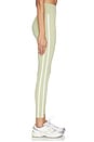 view 3 of 6 The Sutton Legging in Sage