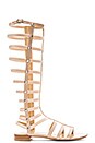 view 1 of 5 Gladiator Sandal in Adobe