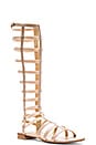 view 2 of 5 Gladiator Sandal in Adobe