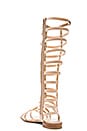 view 3 of 5 Gladiator Sandal in Adobe