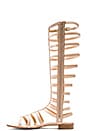 view 5 of 5 Gladiator Sandal in Adobe