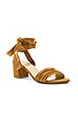 view 2 of 5 SWIFTY ヒール in Camel Suede
