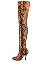 view 5 of 5 BOTTINES SHILOH in Camel