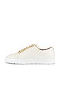 view 5 of 6 Excelsa Sneaker in Cream