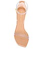 view 4 of 5 Nudistcurve 100 Sandal in Adobe & Clear