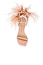 view 4 of 5 Plume 110 Sandal in Poudre