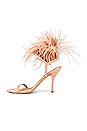 view 5 of 5 Plume 110 Sandal in Poudre