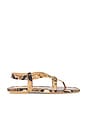 view 1 of 5 Benni Sandal in Ginger