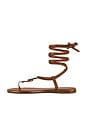view 5 of 5 Georgie Lace-up Sandal in Bridle Brown