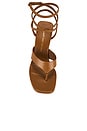 view 4 of 5 Vinnie Wrap Thong Sandal 85 in Boho Tan