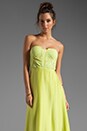 view 1 of 6 Strapless Maxi Dress in At Lake Tahoe
