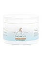 view 1 of 1 Vanilla Essence Body Sugar Scrub in Vanilla Essence