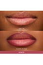 view 7 of 12 Flushed Lip Stain in Rosette