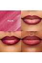 view 2 of 12 FLUSHED LIP STAIN 립 스테인 in Plum