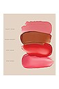 view 4 of 4 Blush Balm Stick in Warm Desert