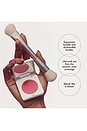 view 4 of 6 The Blush Brush in 