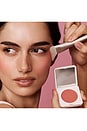 view 6 of 6 The Blush Brush in 