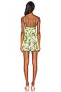 view 4 of 3 Supernatural Romper in Palm Heaven