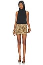 view 6 of 6 Anouk Leopard Print Skirt in Brown