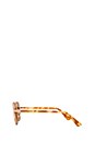 view 3 of 3 LUNETTES DE SOLEIL NED in Tortoise