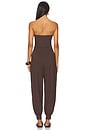 view 3 of 3 Strapless Cuffed Ankle Jumpsuit in Java